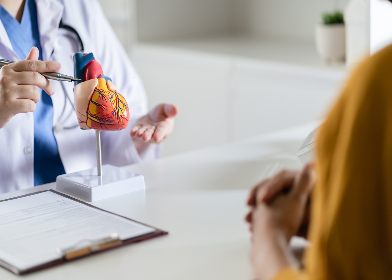 Olive Oil Integrated Cardiometabolic Care: Beyond Lipid Lowering to Inflammation and Oxidative Stress