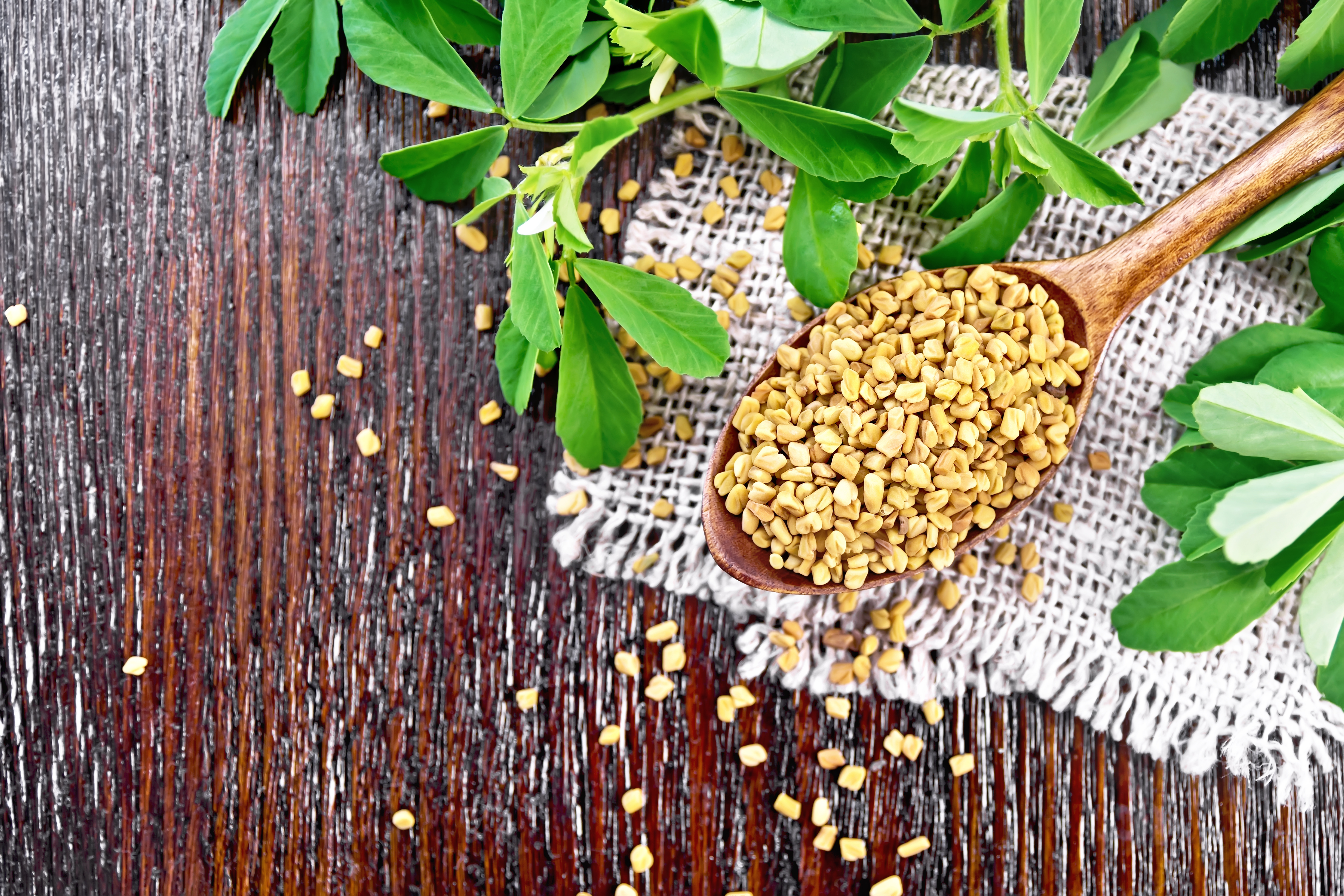 Methi (Trigonella Foenum-Graecum) in Women’s Wellness: A Traditional Herbal Perspective