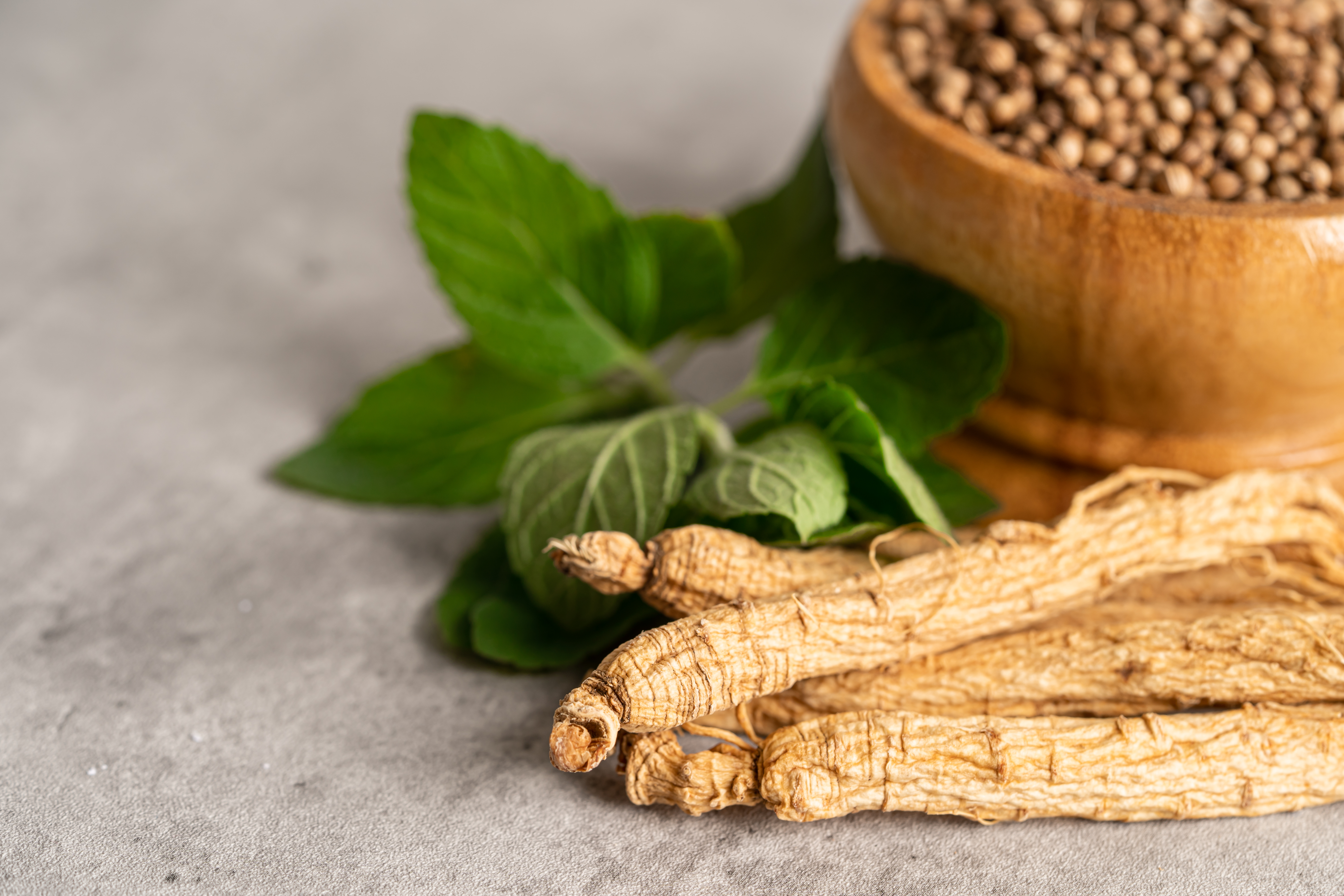 Guduchi (Tinospora Cordifolia) in Women’s Metabolic and Reproductive Health