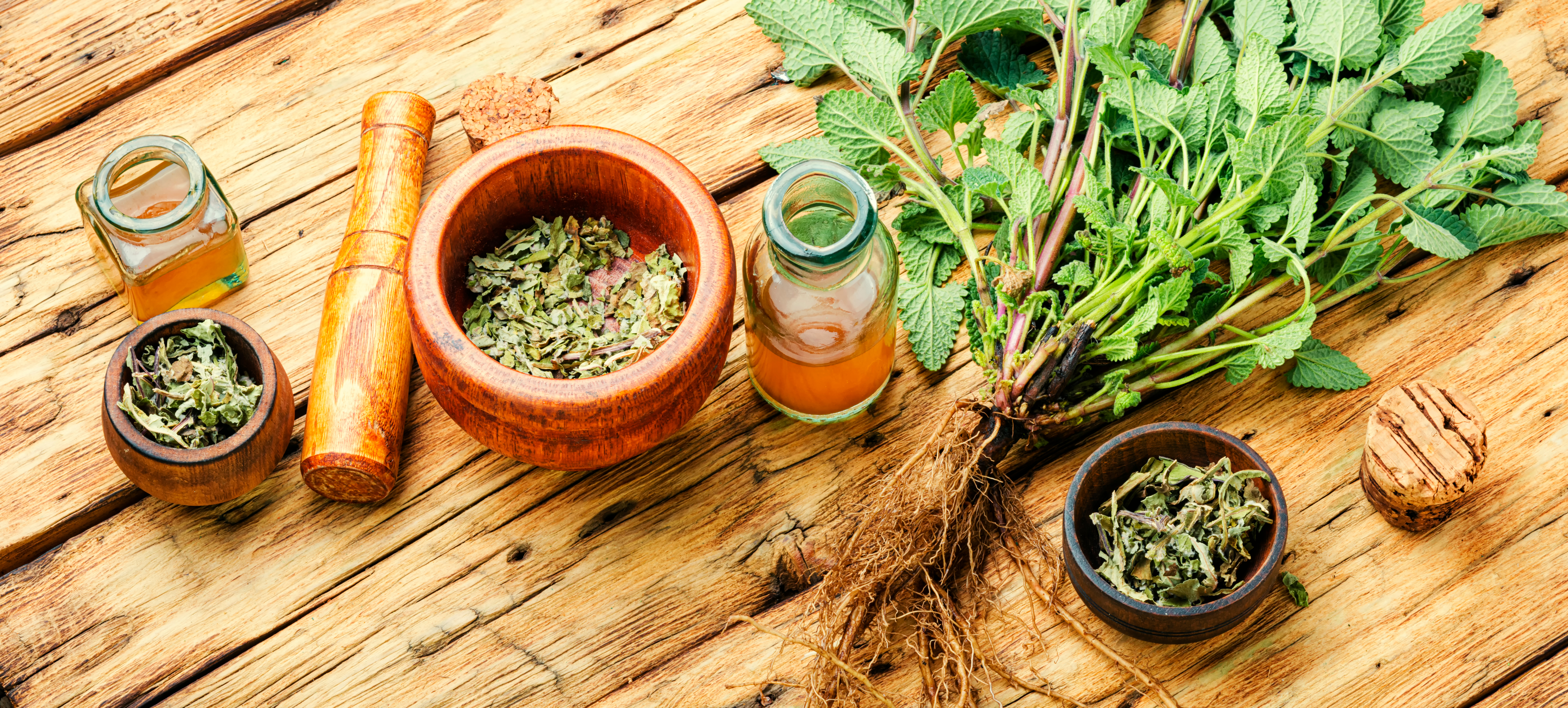 Role of Dravyaguna in Rational Ayurvedic Prescribing