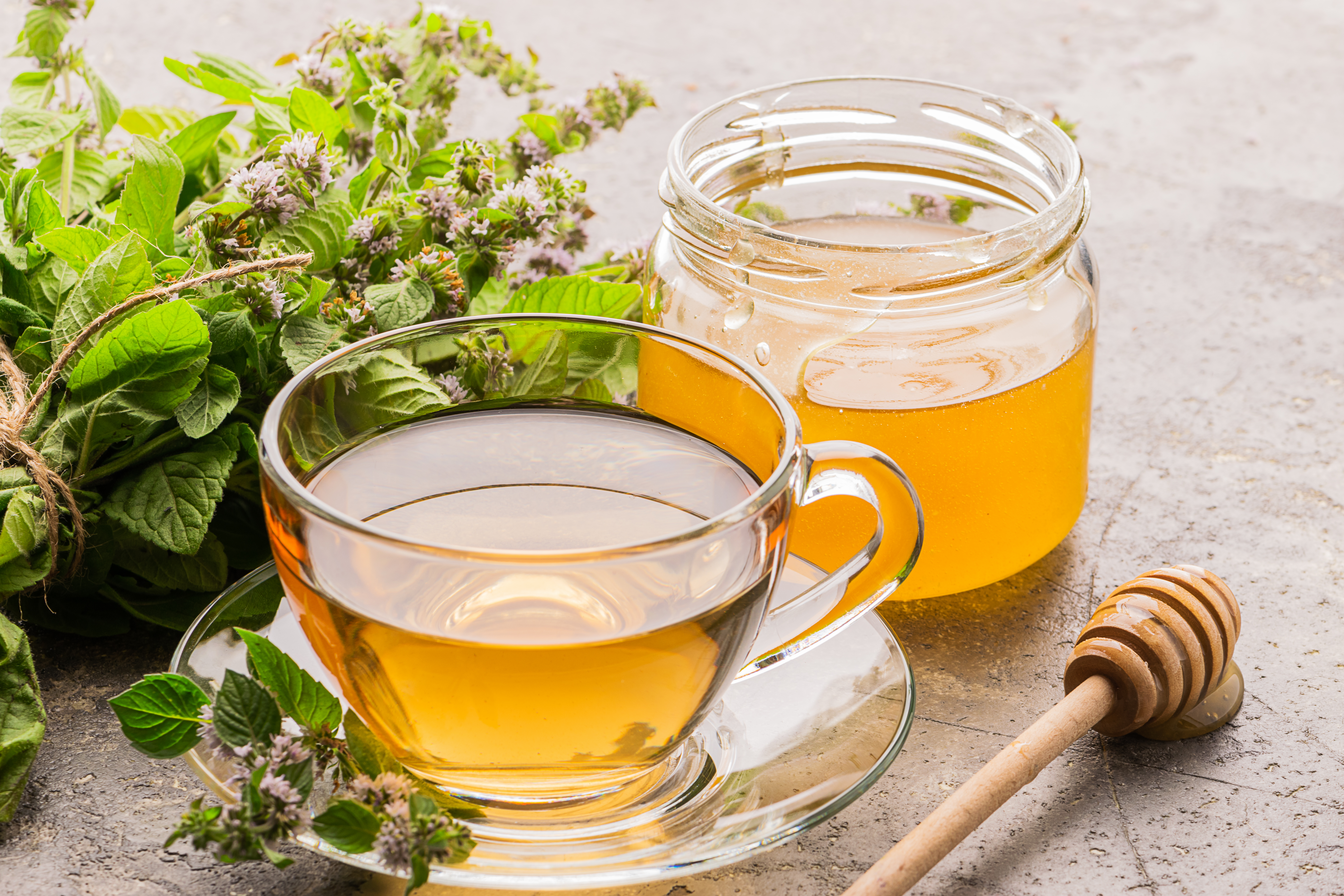 Tulsi in Allergic Rhinitis: Tradition Meets Science