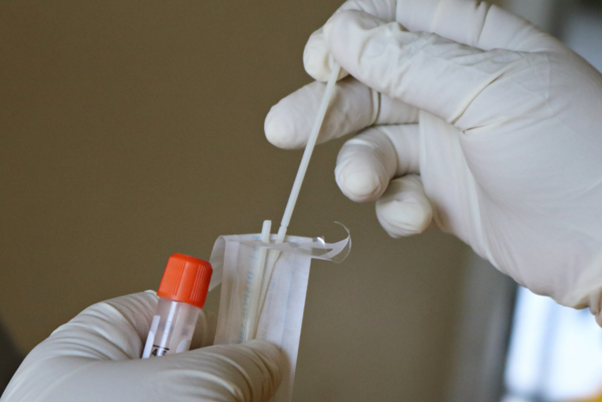 When to Use PCR vs Serology in Poultry Practice