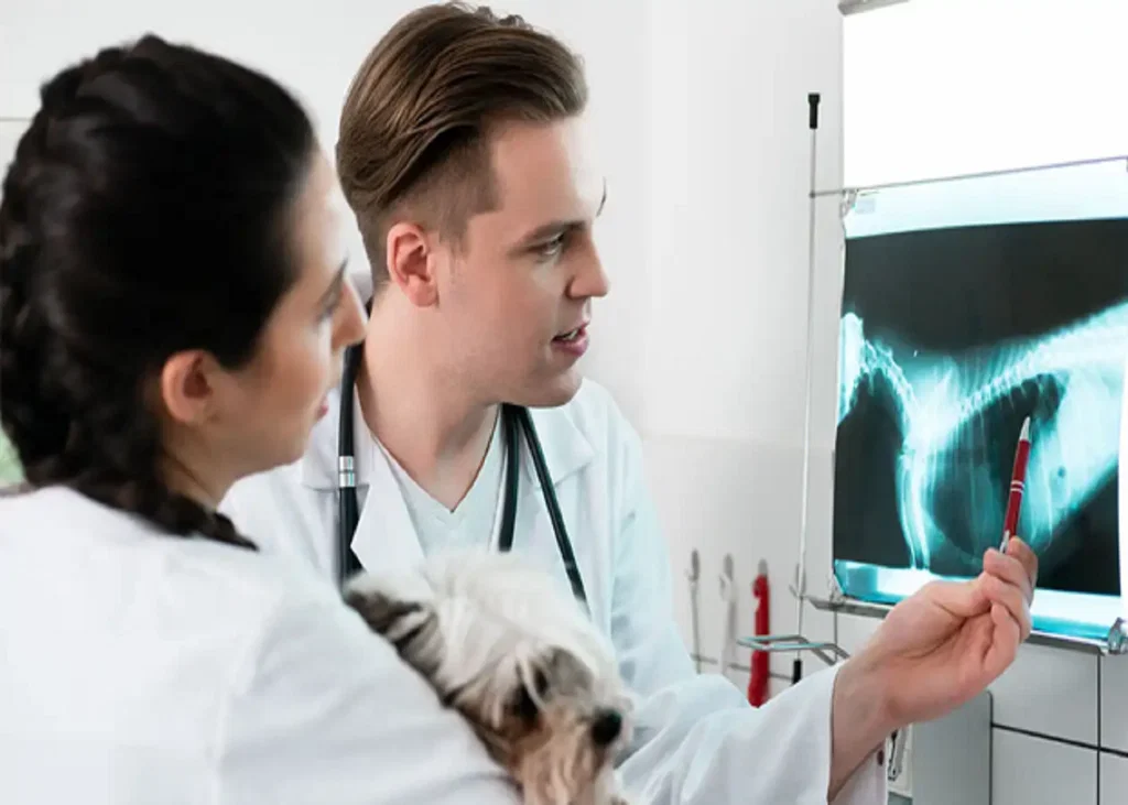 Bronchoscopy and Airway Sampling in Dogs and Cats with Chronic Cough