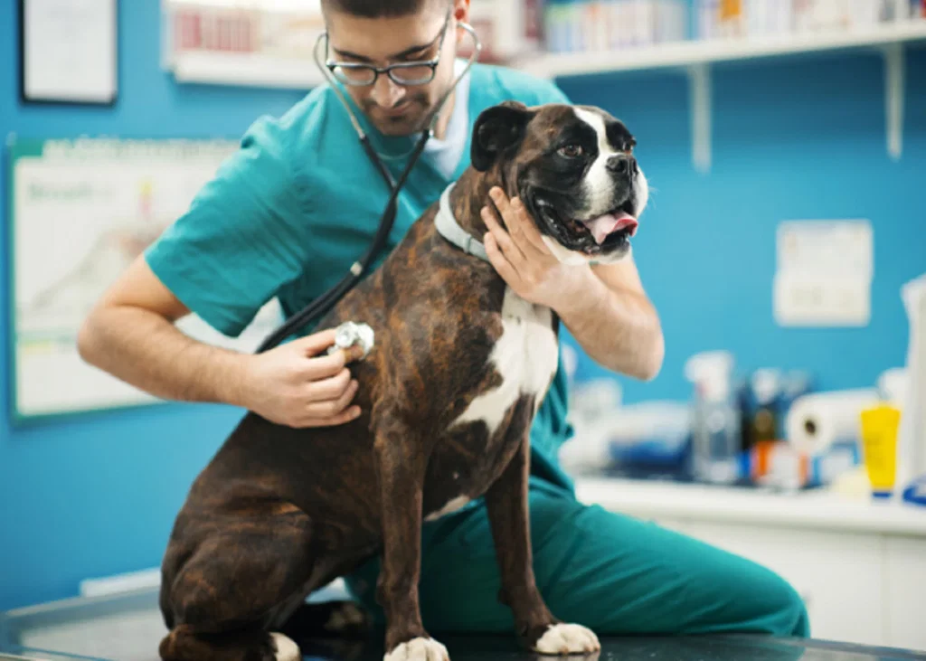 When Should Veterinarians Suppress Cough?