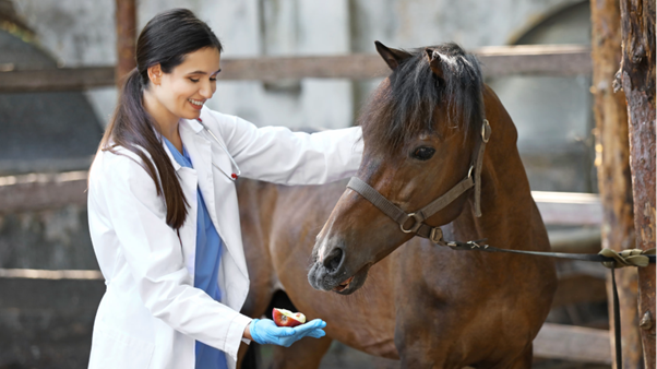 Coagulation Disorders, DIC, and Organ Dysfunction in Equine Colic: Emerging Prognostic Insights
