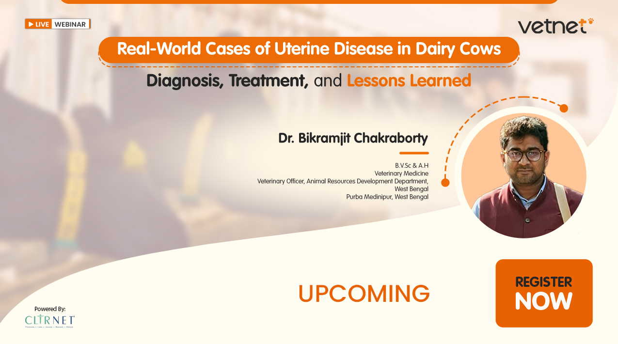 Real-World Cases of Uterine Disease in Dairy Cows: Diagnosis, Treatment, and Lessons Learned